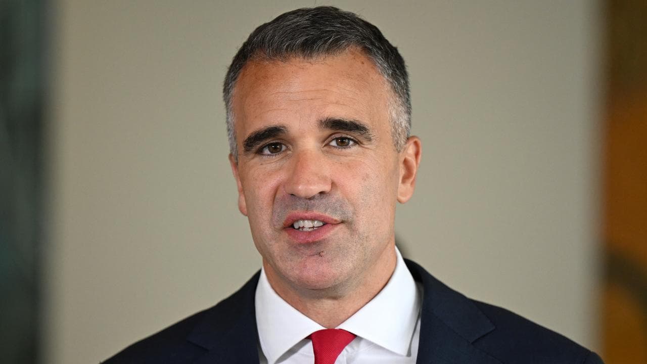 Premier of South Australia Peter Malinauskas speaks to the media