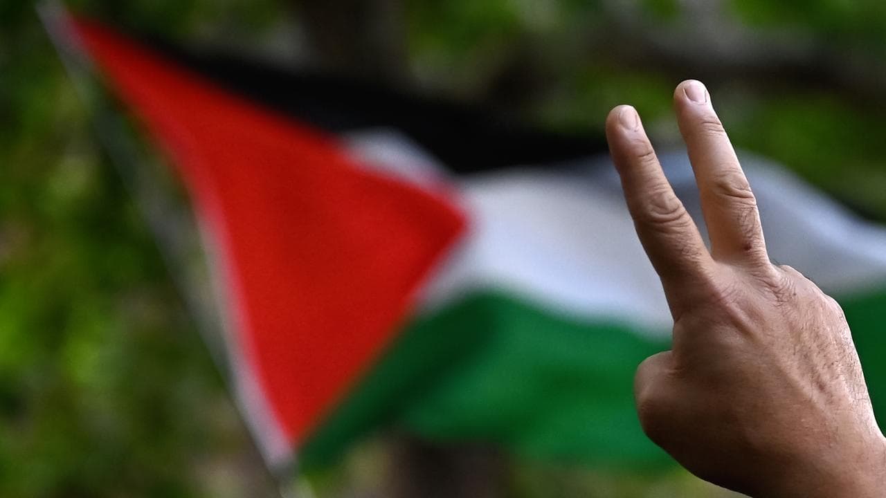 Man makes peace sign with his fingers as Palestinian flag is waved