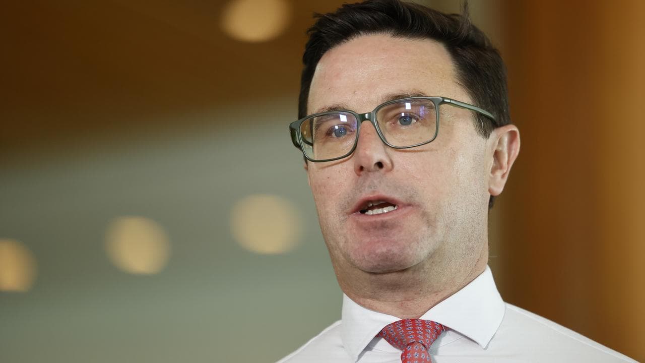 Nationals leader David Littleproud