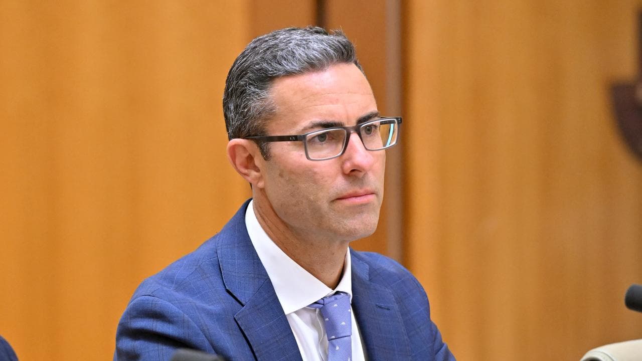 Brad Jones at the economics committee