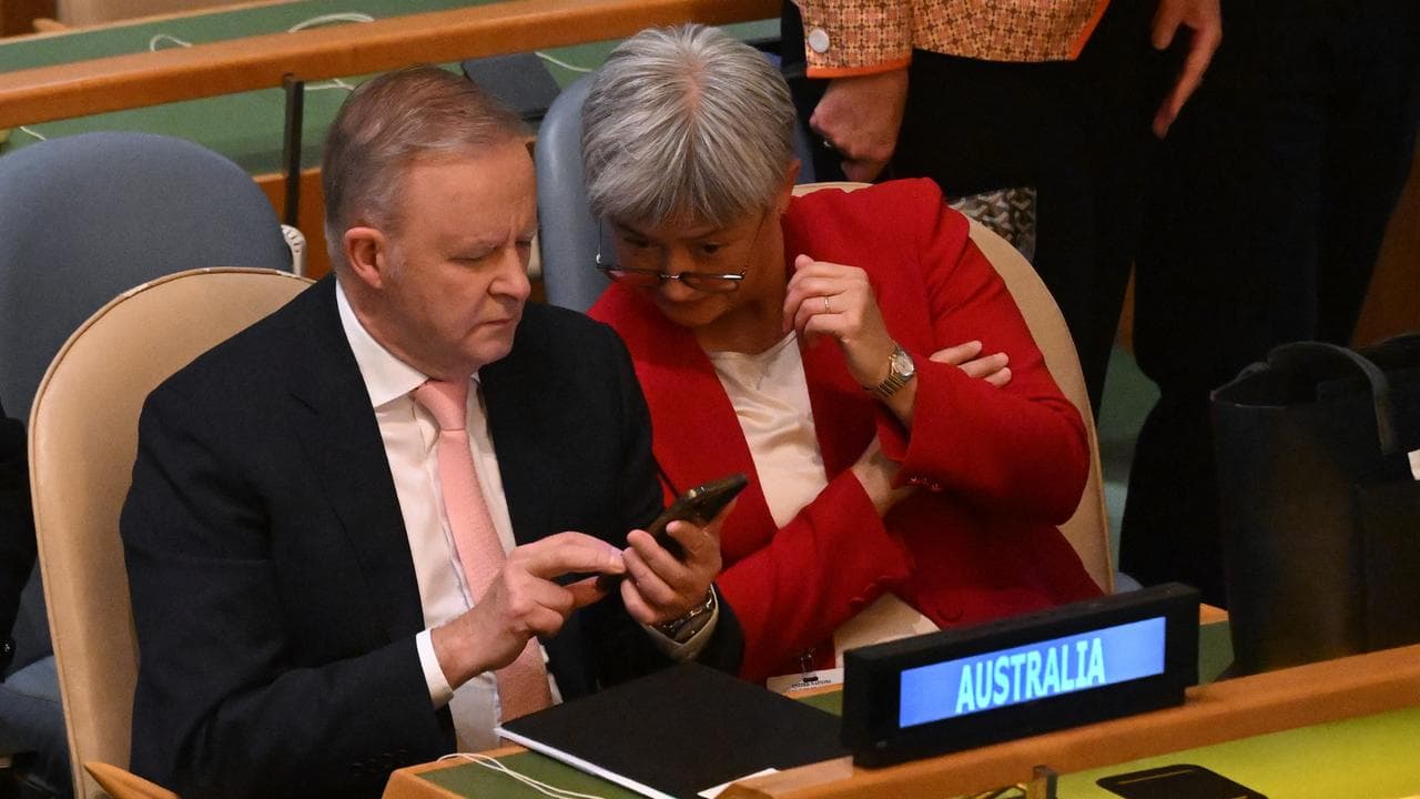 Anthony Albanese and Penny Wong