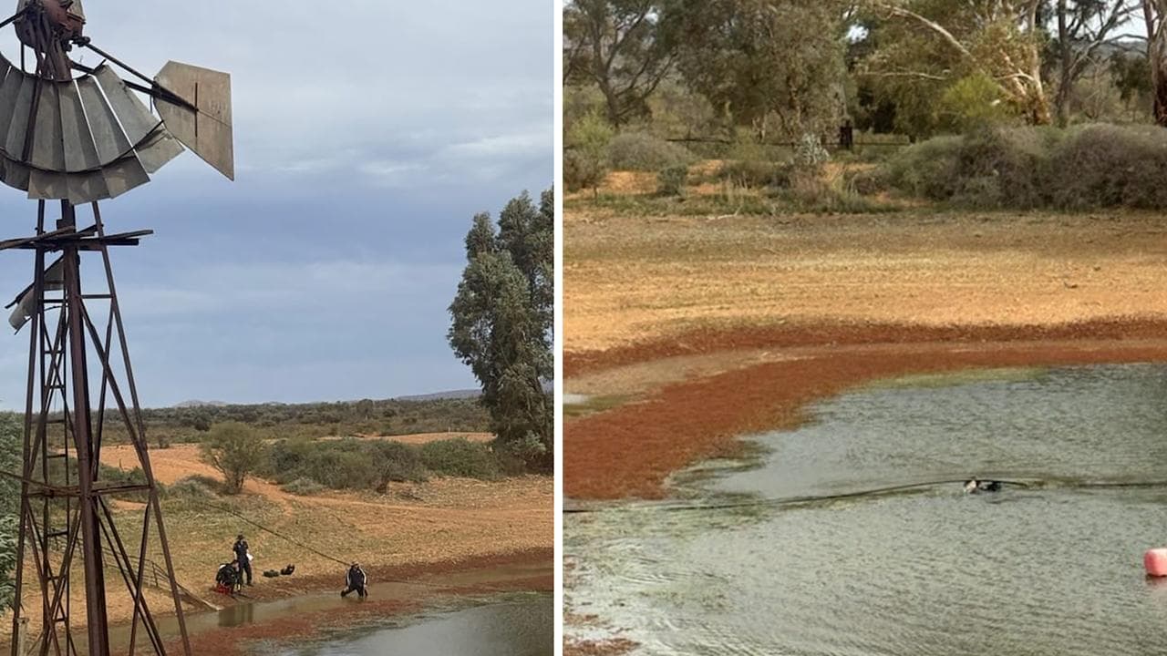 remote sheep grazing property in SA
