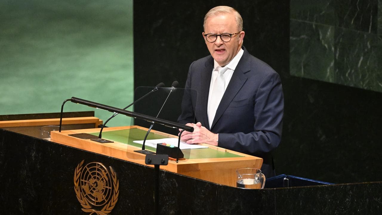 Prime Minister Anthony Albanese (file image)