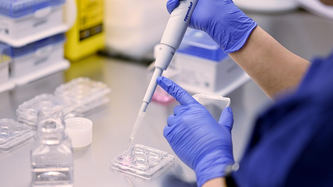Laboratory technician at the Connect IVF Lab in Sydney