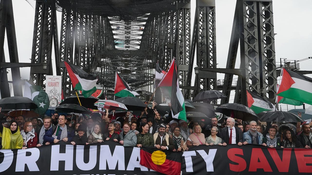 Pro-Palestine protesters march on Sydney Harbour Bridge