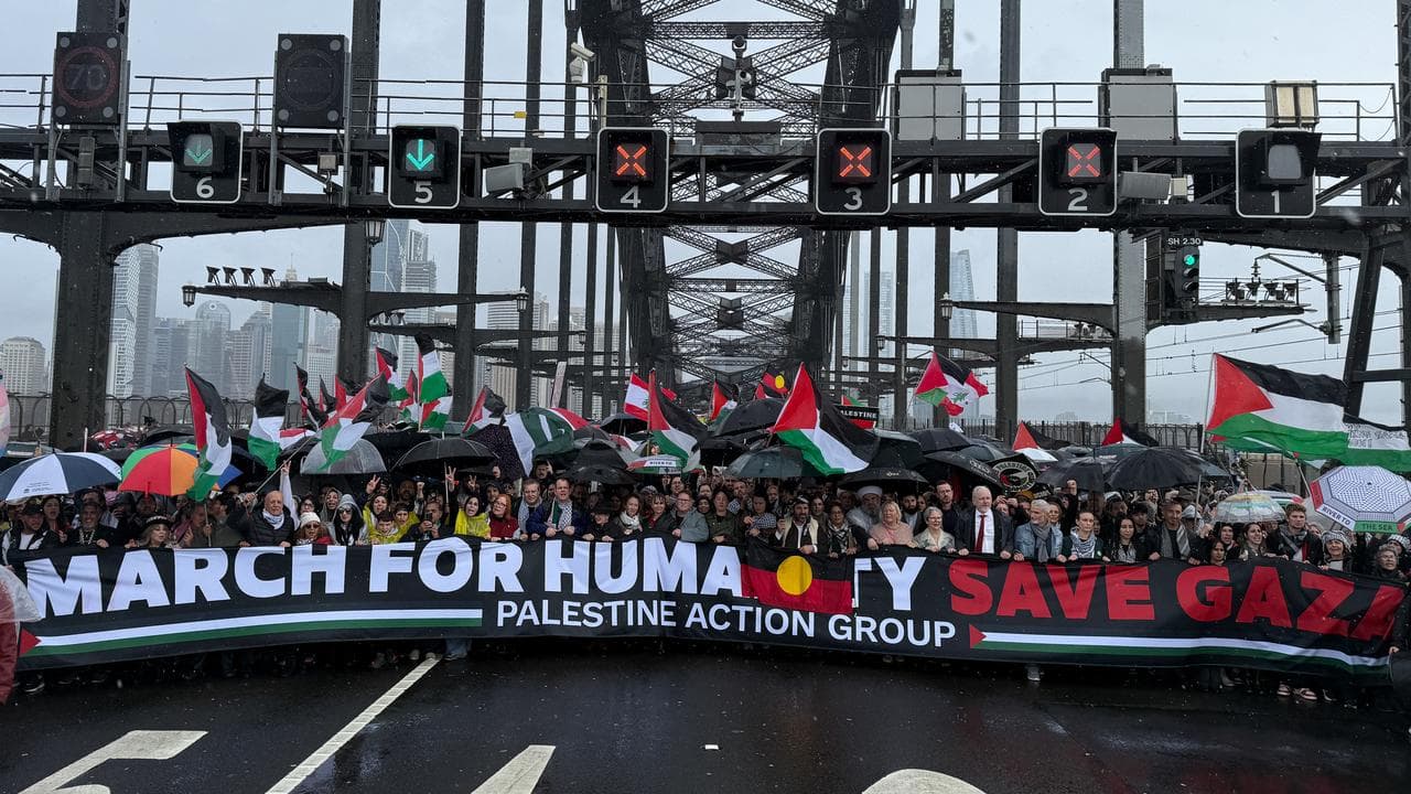 Palestine Action Group's Harbour Bridge rally (file)
