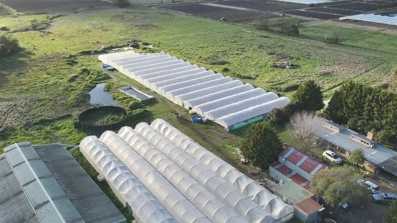 Police uncover a $15 million cannabis operation in Melbourne.