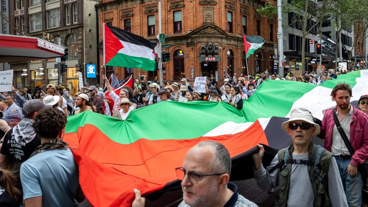Pro-Palestine protest in Sydney