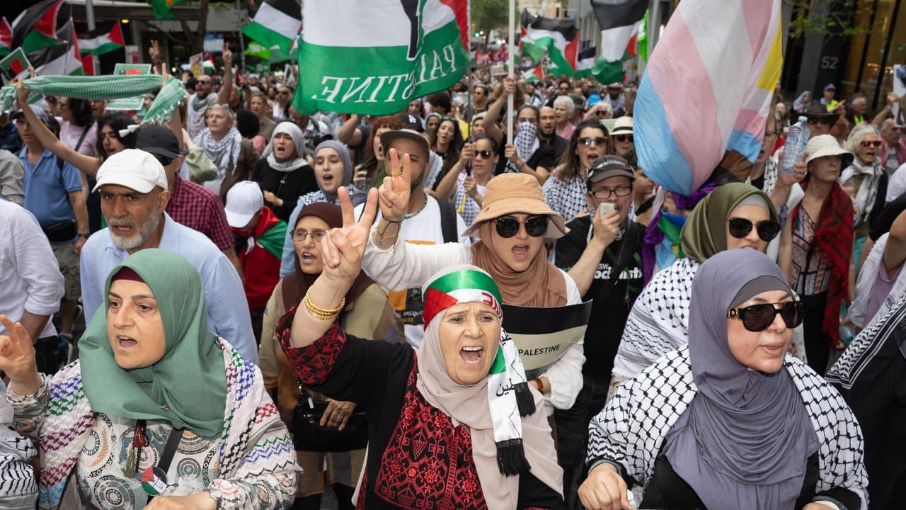 Pro-Palestine protest in Sydney