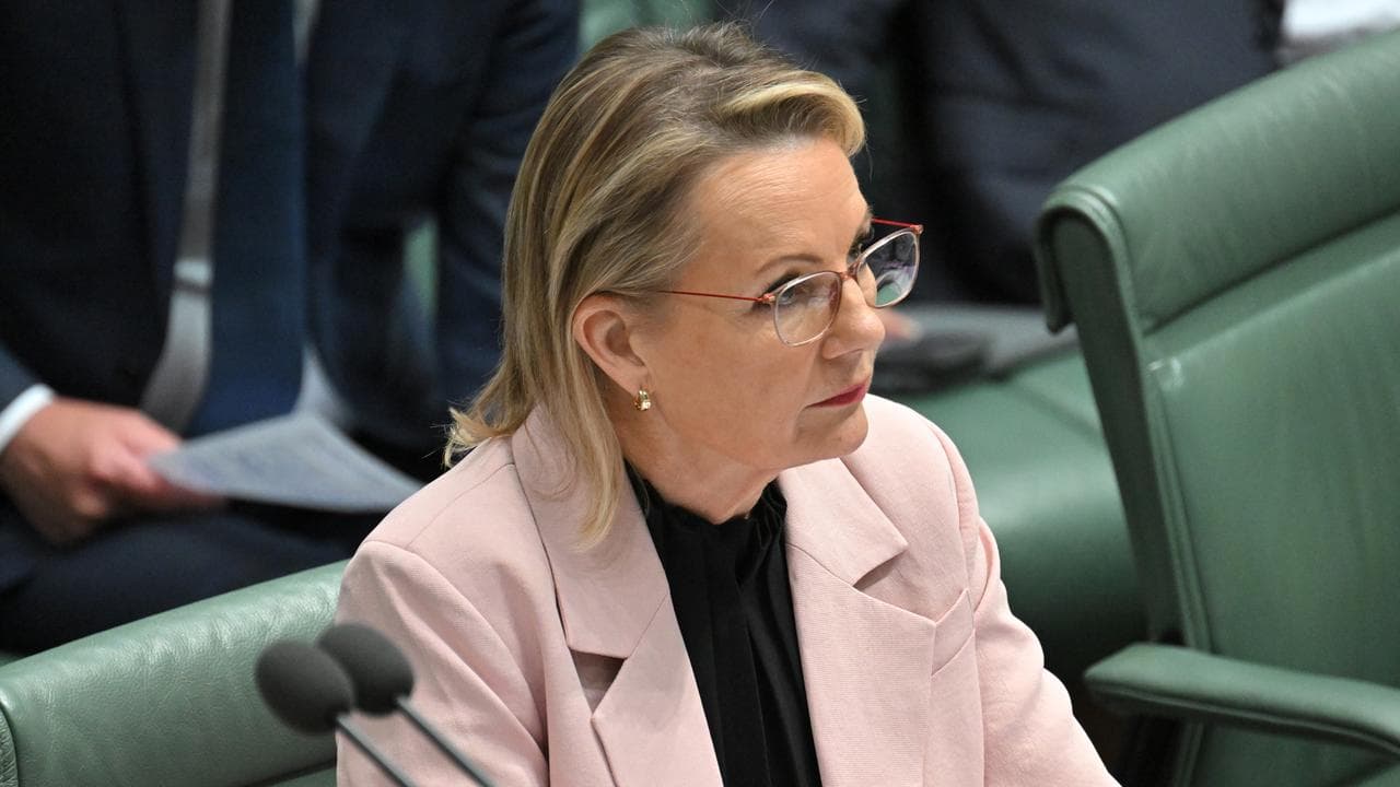 Opposition Leader Sussan Ley during Question Time