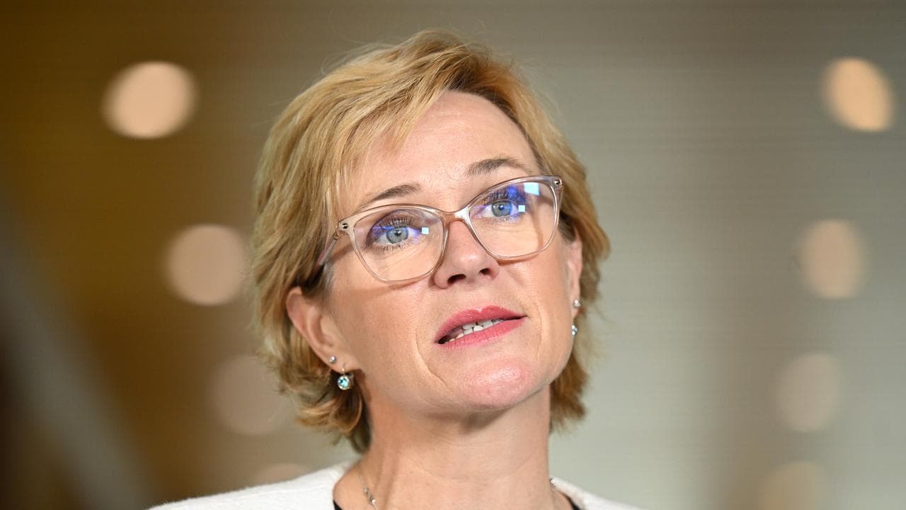 Independent Member for Warringah Zali Steggall