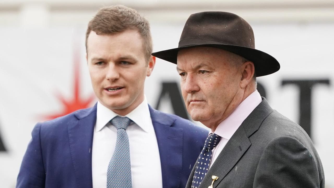 Ben and David Hayes.