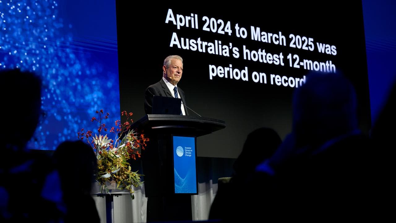 Former US vice-president Al Gore at the Climate Change 2025 summit