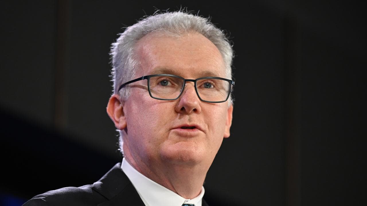 Home Affairs Minister Tony Burke