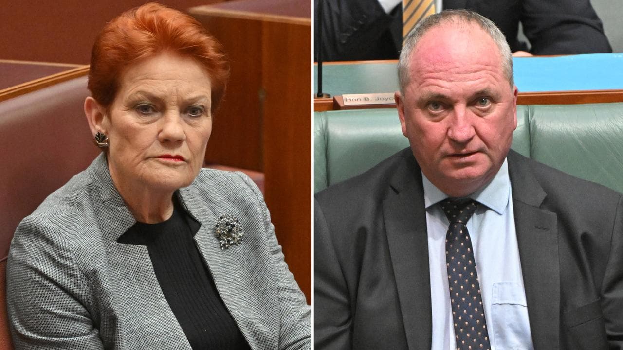 One Nation leader Pauline Hanson and Barnaby Joyce