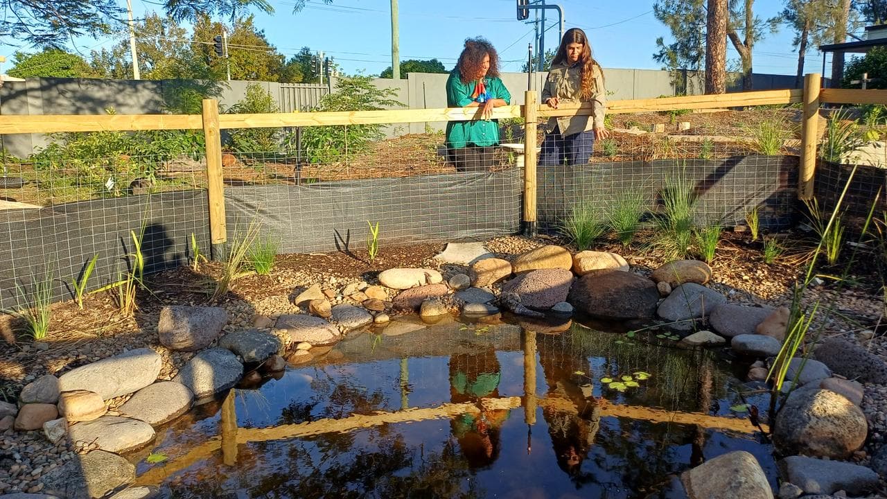 A native garden at the Murri School 