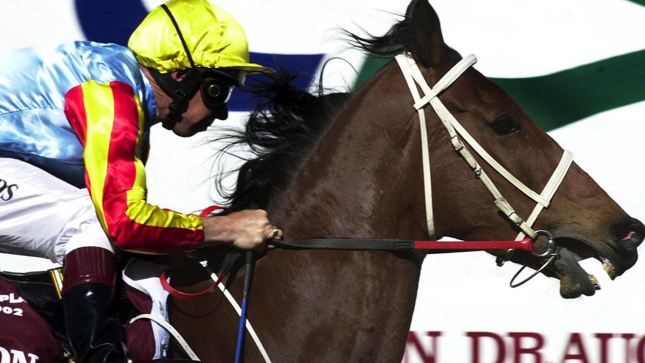 New Zealand jockey Greg Childs and Sunline