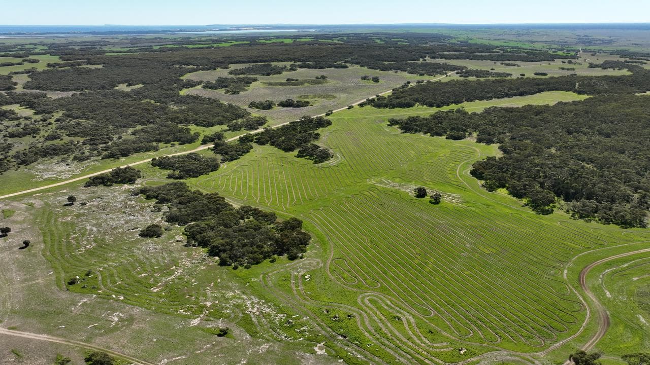 Land restoration project at Glandore in South Australia