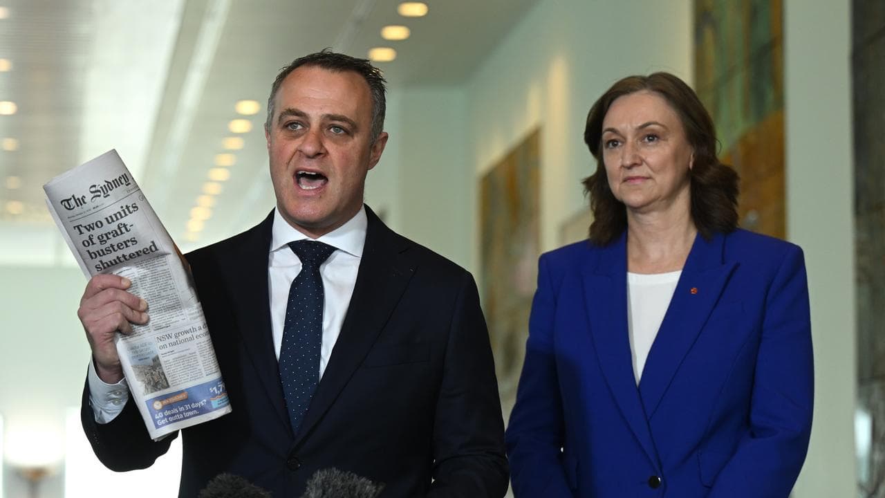 Shadow Small Business Minister Tim Wilson and senator Maria Kovacic