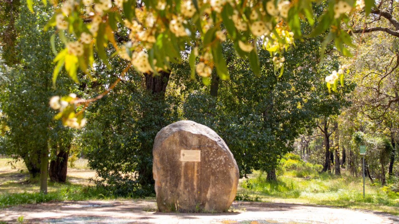 A memorial plaque at the site of the Pinjarra massacre (file image)