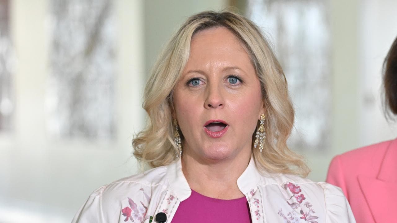 Opposition women's spokesperson Melissa McIntosh