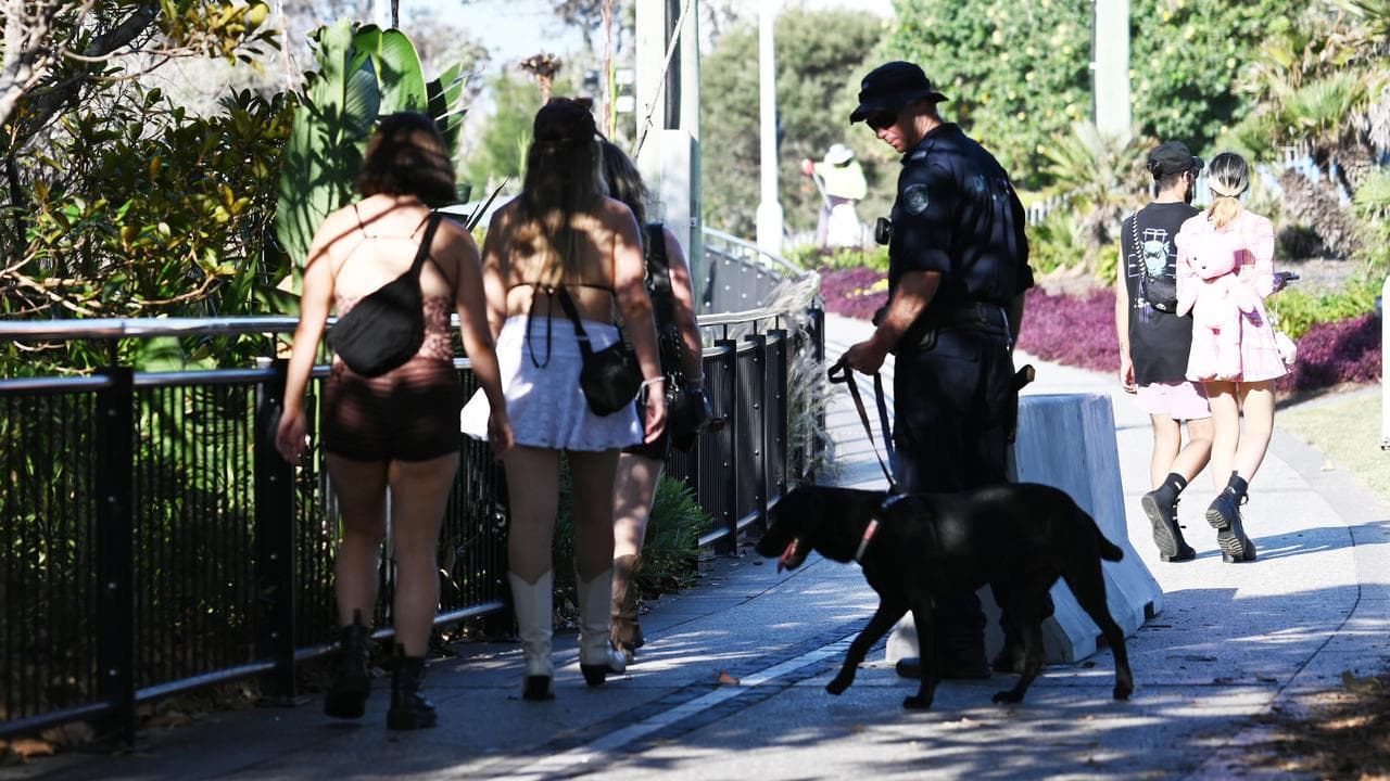 A file photo of police and a dog 
