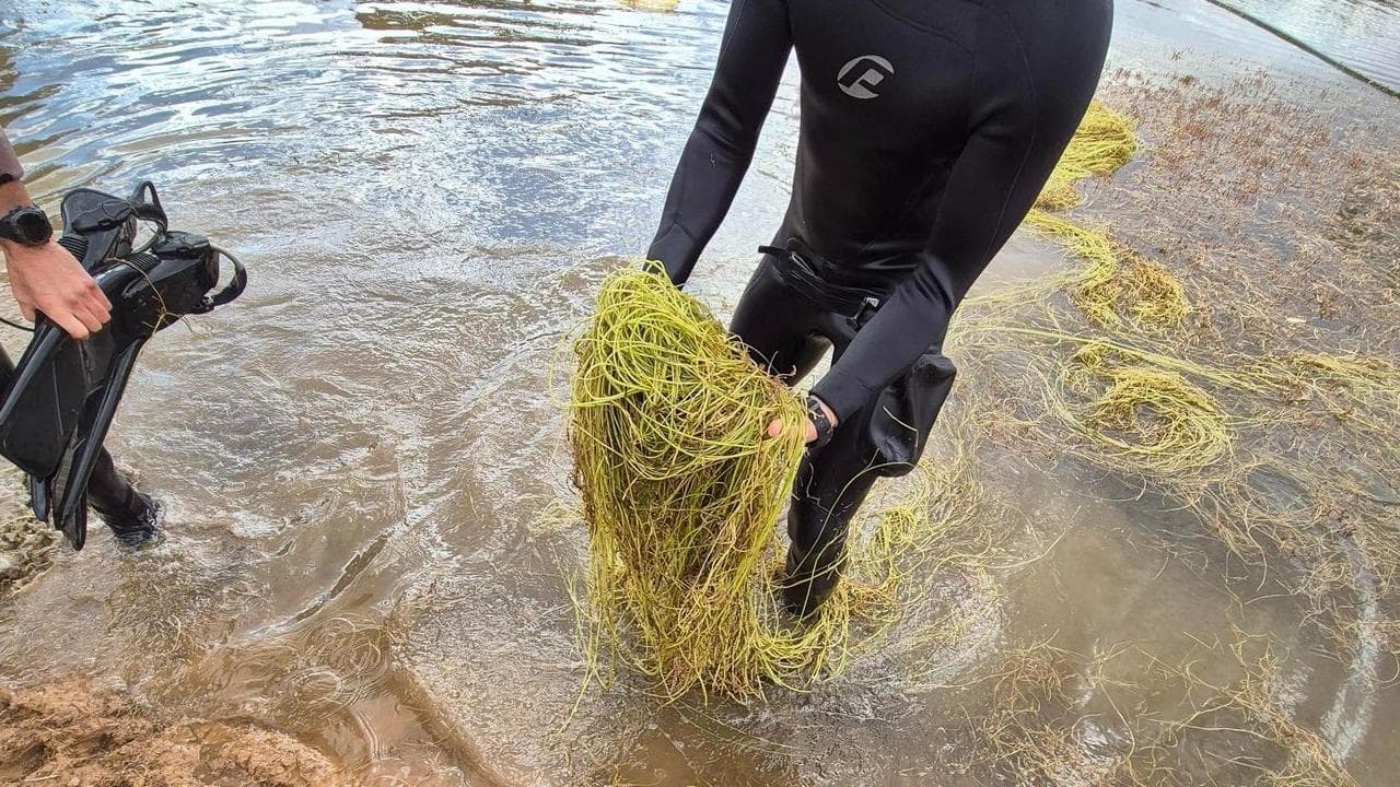 Police removed vegetation from the dam