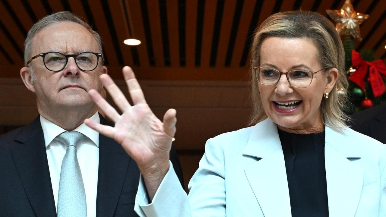 Anthony Albanese and Sussan Ley