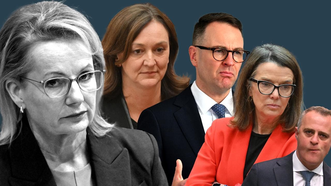 Sussan Ley and Liberal colleagues