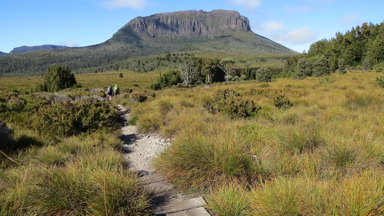 Mt Pelion on the Overland Track, Tasmania