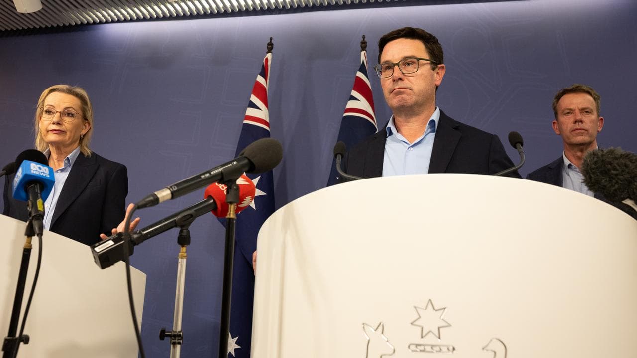 Sussan Ley, David Littleproud and Dan Tehan