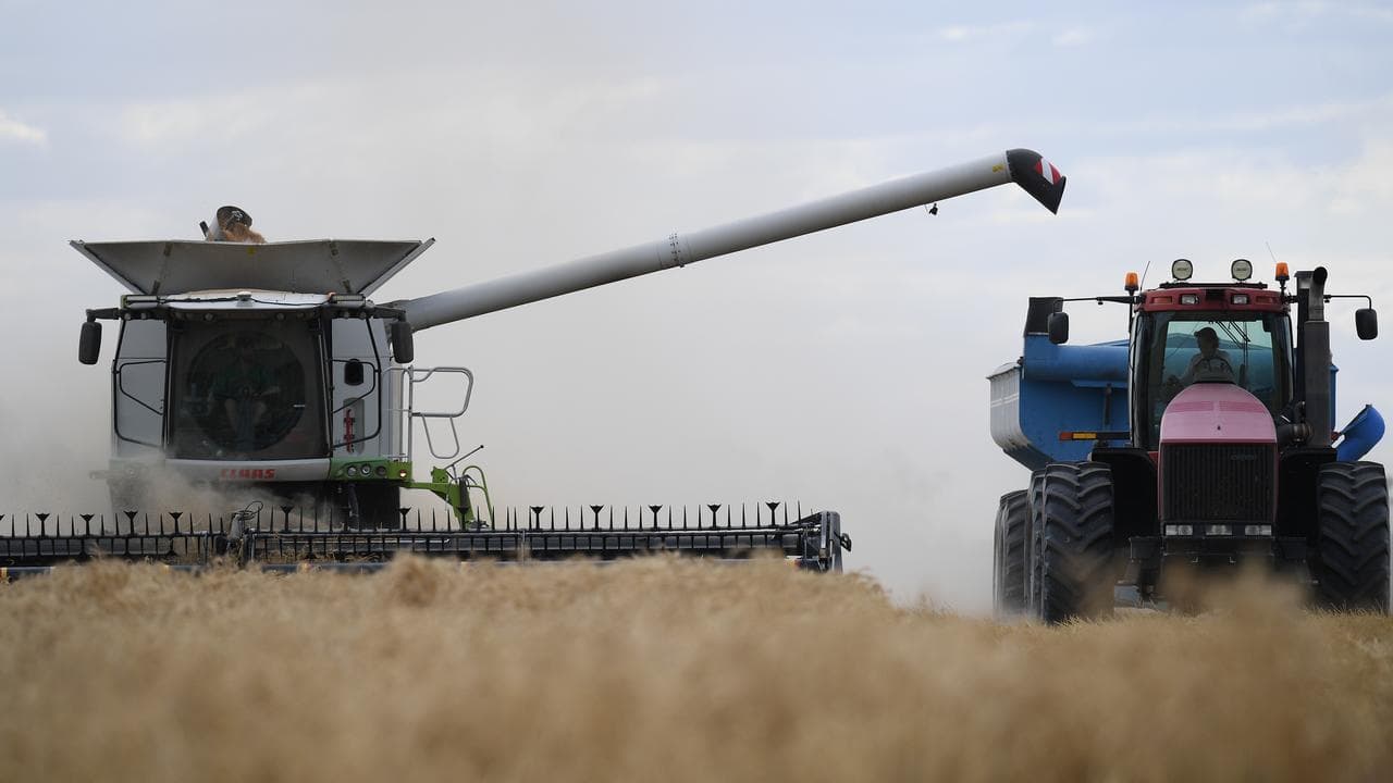 Wheat harvest near Moree, NSW