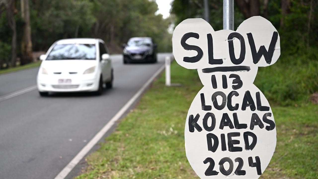 A sign in the shape of a koala