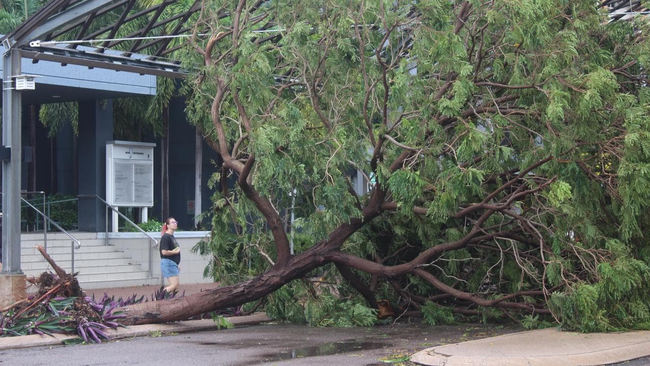 Tropical Cyclone Fina left trees felled all over Darwin