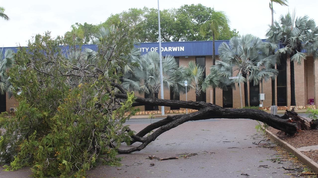 Tropical cyclone Fina left trees felled all over Darwin