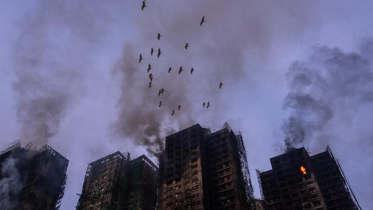 Birds fly over the burned buildings