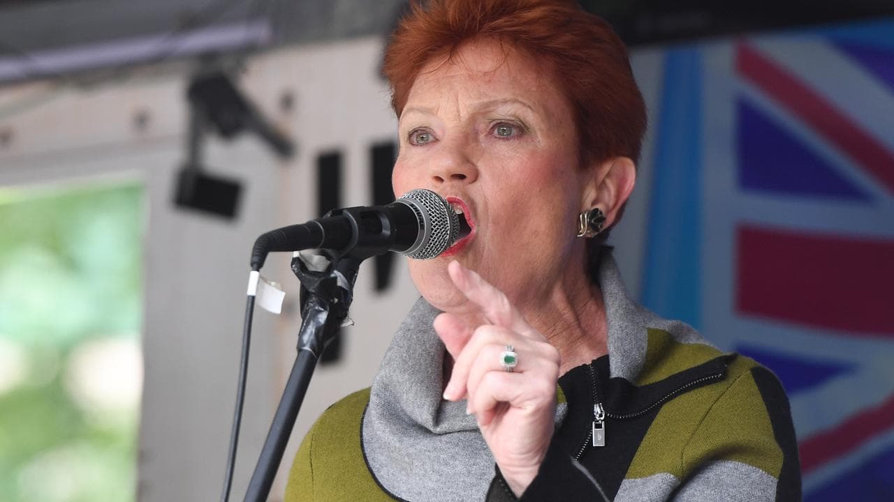 One Nation senator Pauline Hanson