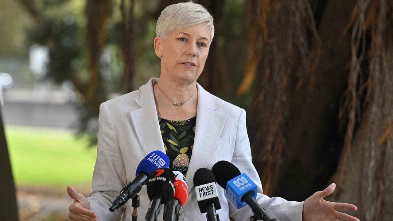 Greens MP Cate Faehrmann (file image)