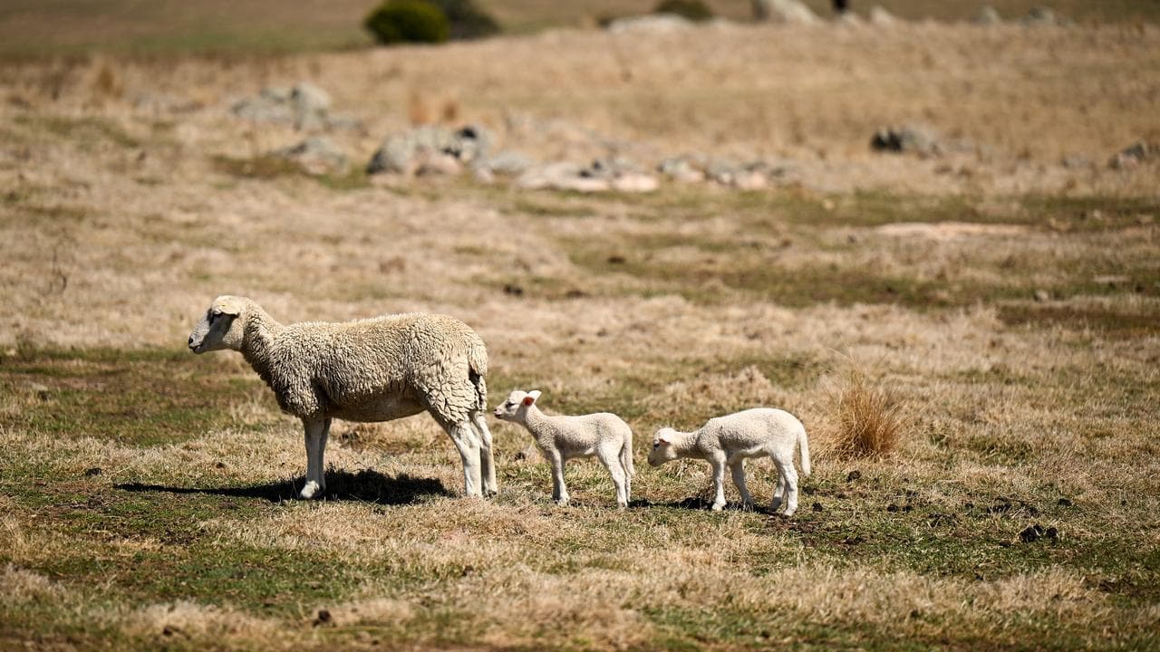 FARMER DROUGHT FEATURE