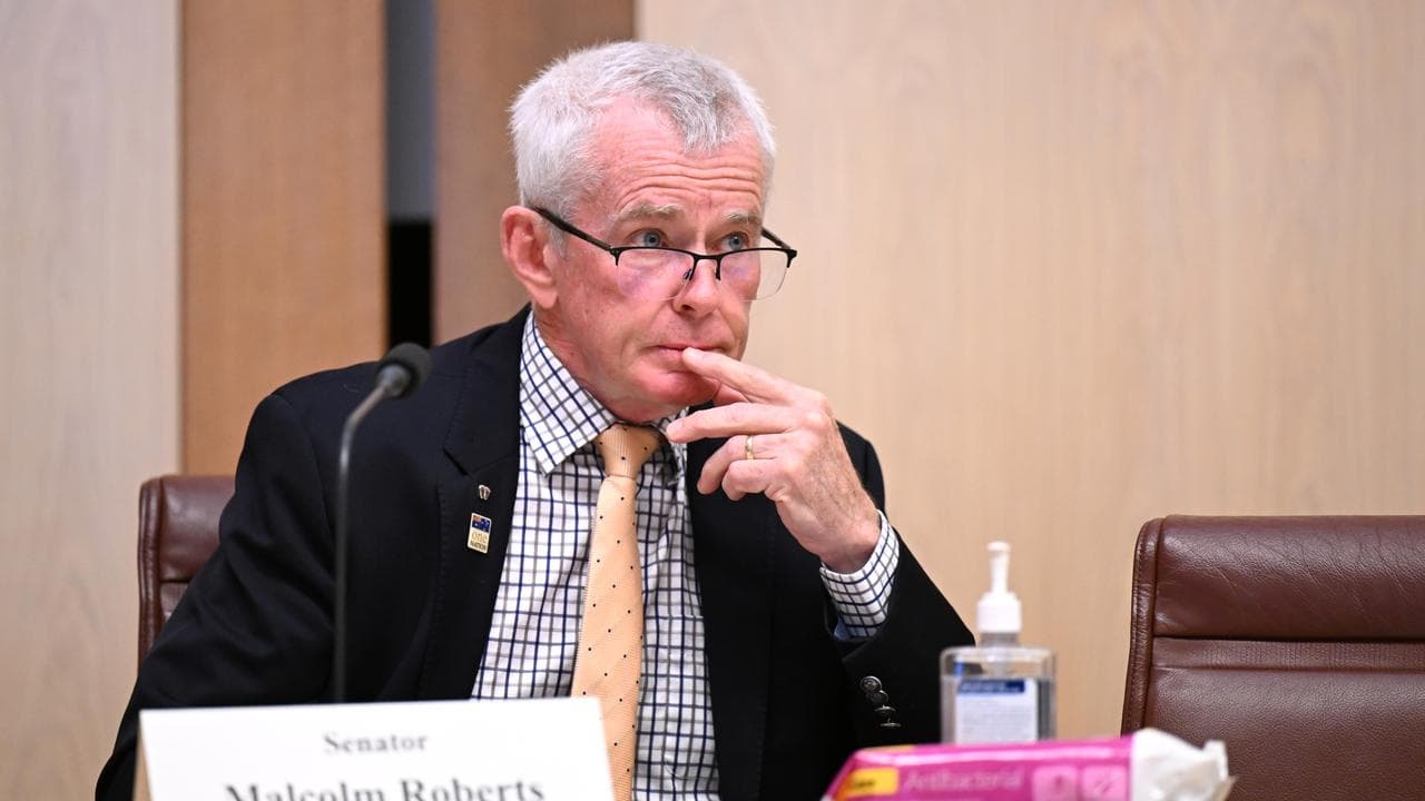 Senator Malcolm Roberts (file image)