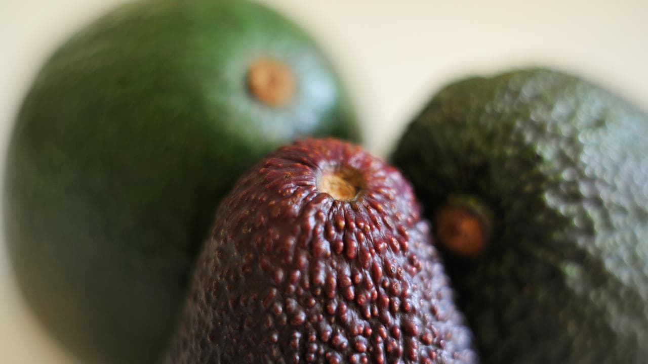 Avocados (file image)