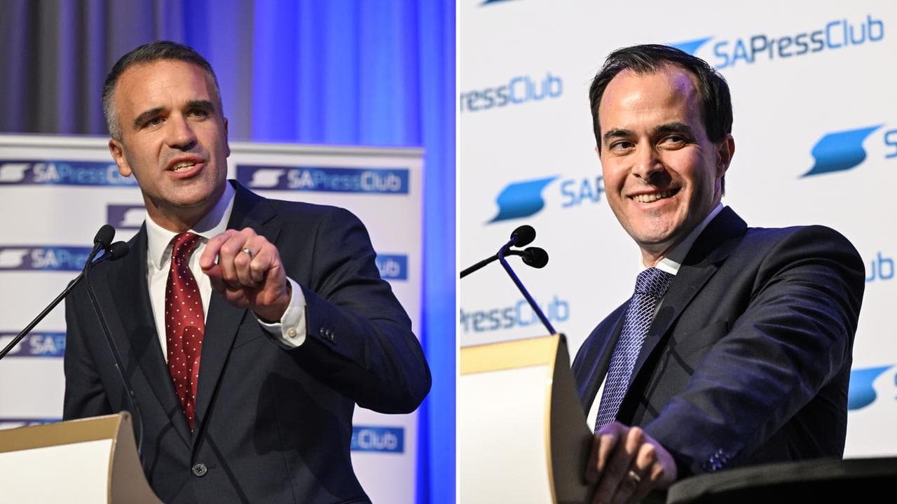Peter Malinauskas and Vincent Tarzia (file images)