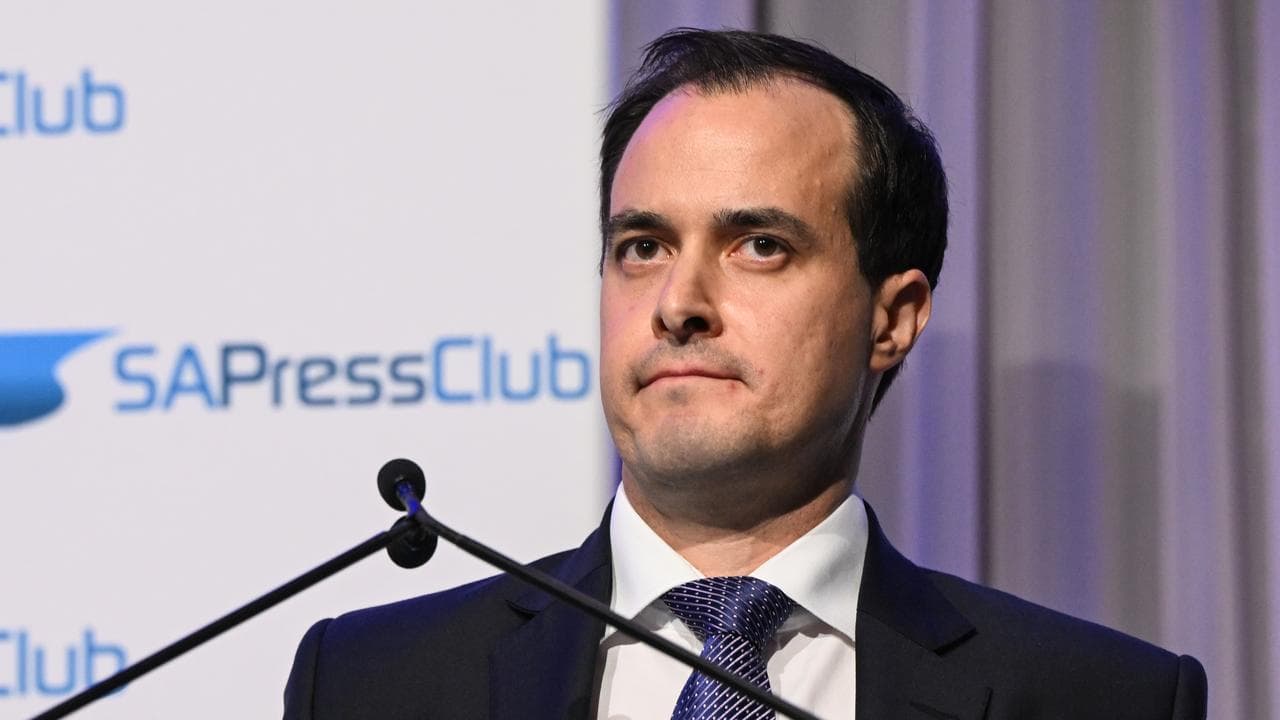 Vincent Tarzia (file image)