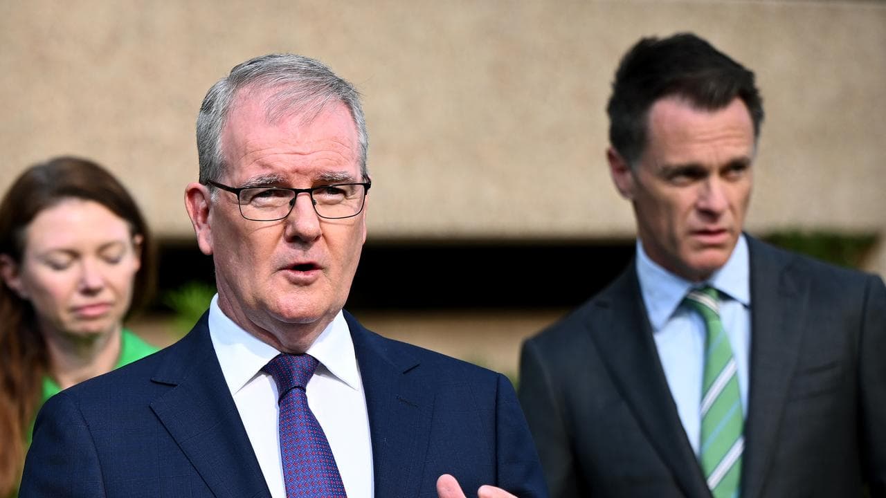 Michael Daley and Chris Minns (file)