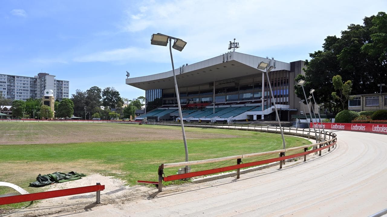 Wentworth Park Sporting and Greyhound Racing Venue (file image)