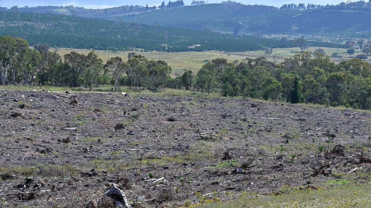 Land cleared next to a highway in NSW