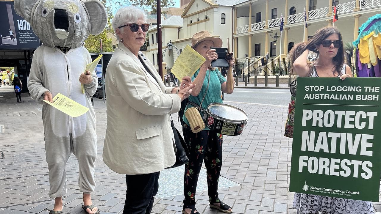 Koala protection protest
