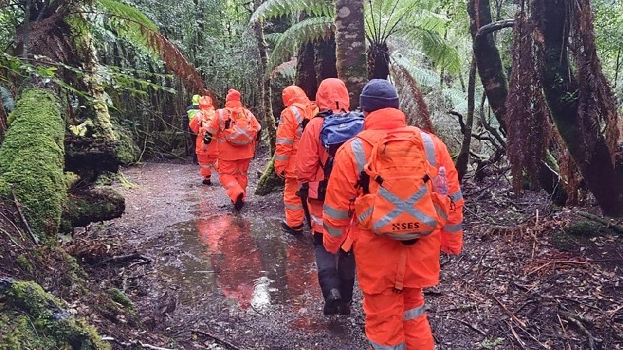 SES team members during search forest for missing woman