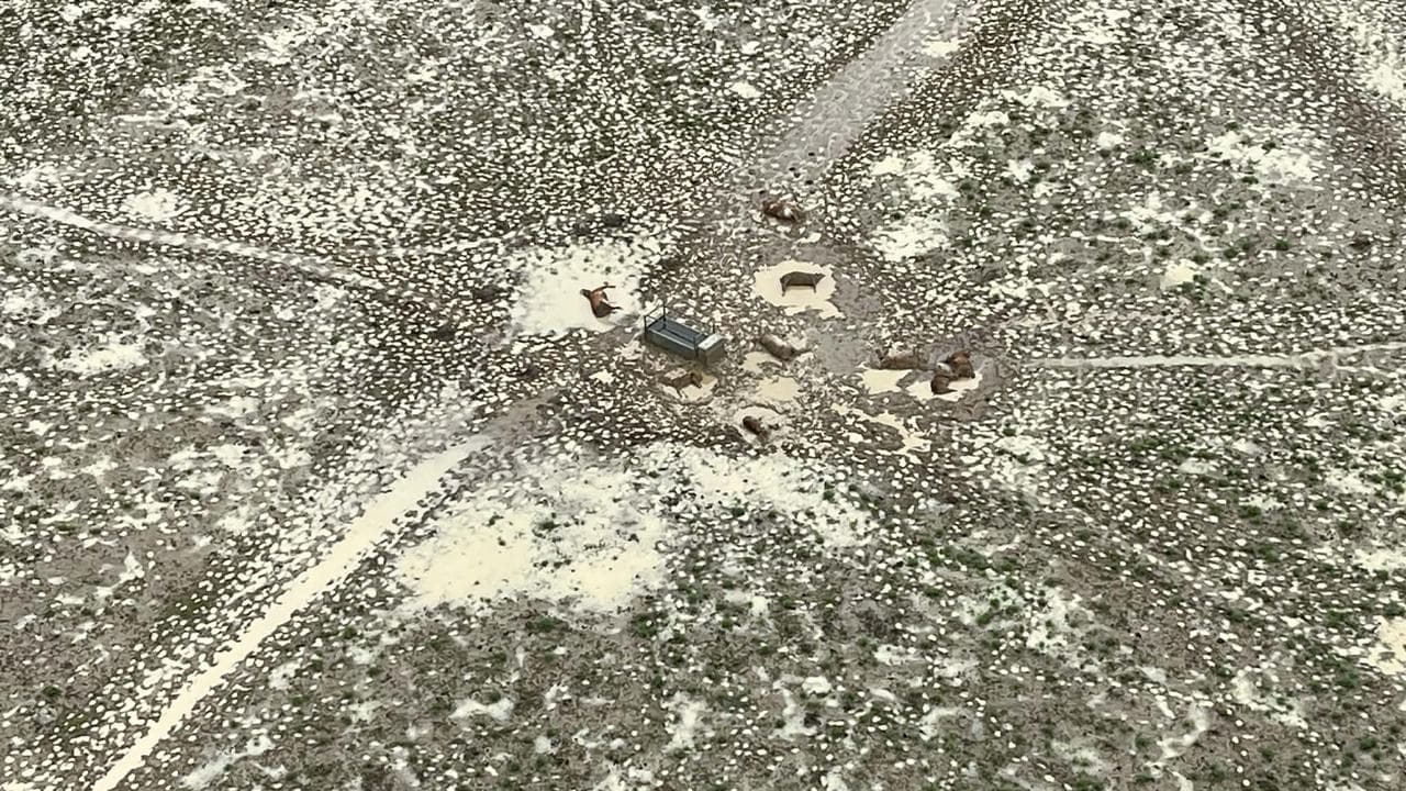 Flooding in Queensland