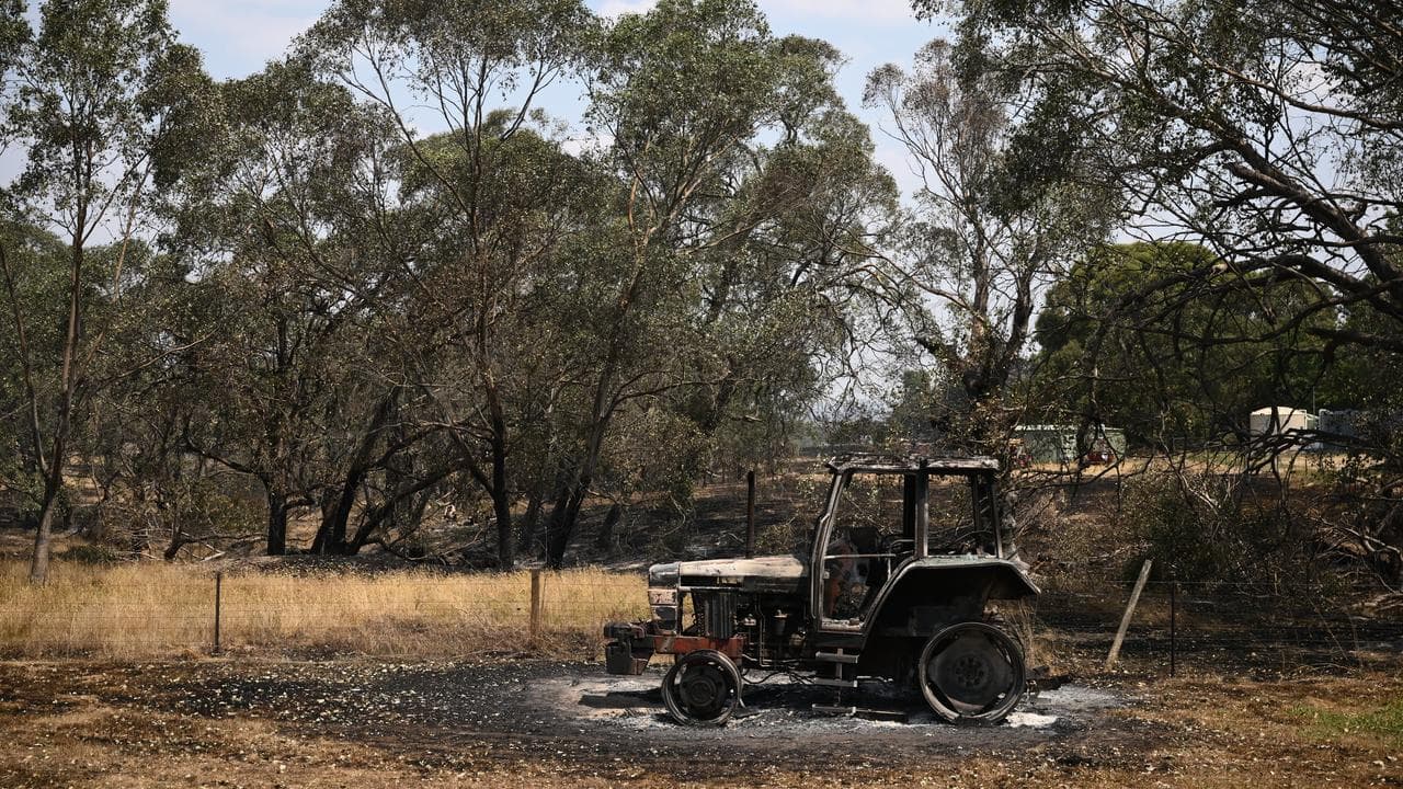 bushfires